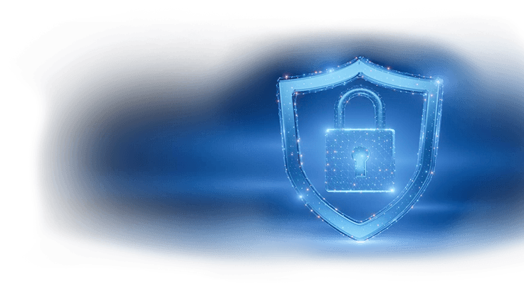 Your SEO is 100% safe and secure